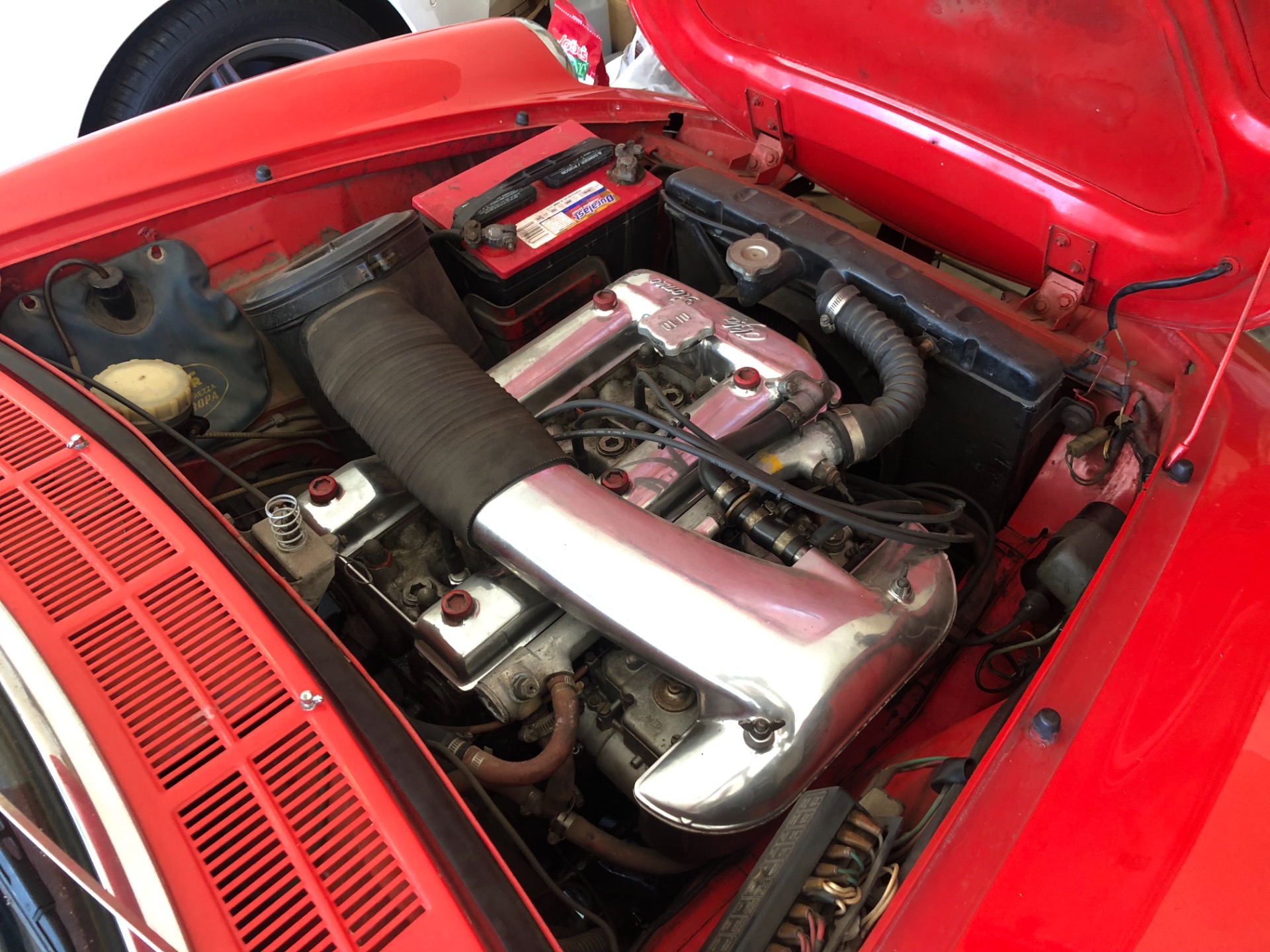Used 1967 Alfa Romeo Spider Duetto
