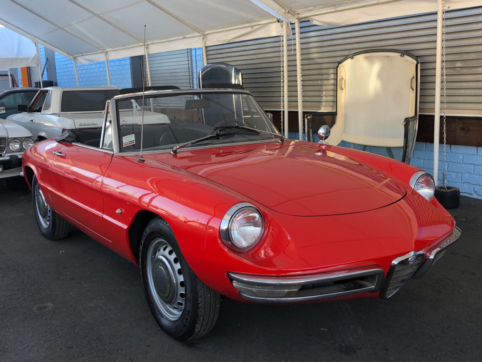 Used 1967 Alfa Romeo Spider Duetto