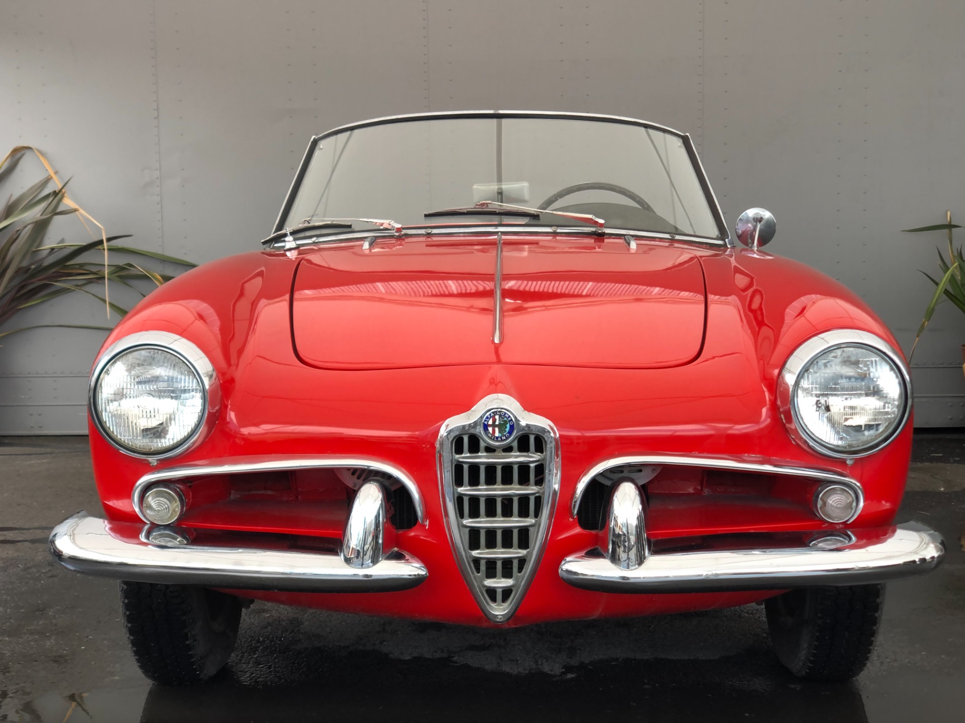 Used 1961 Alfa Romeo Giulietta Spider Normale