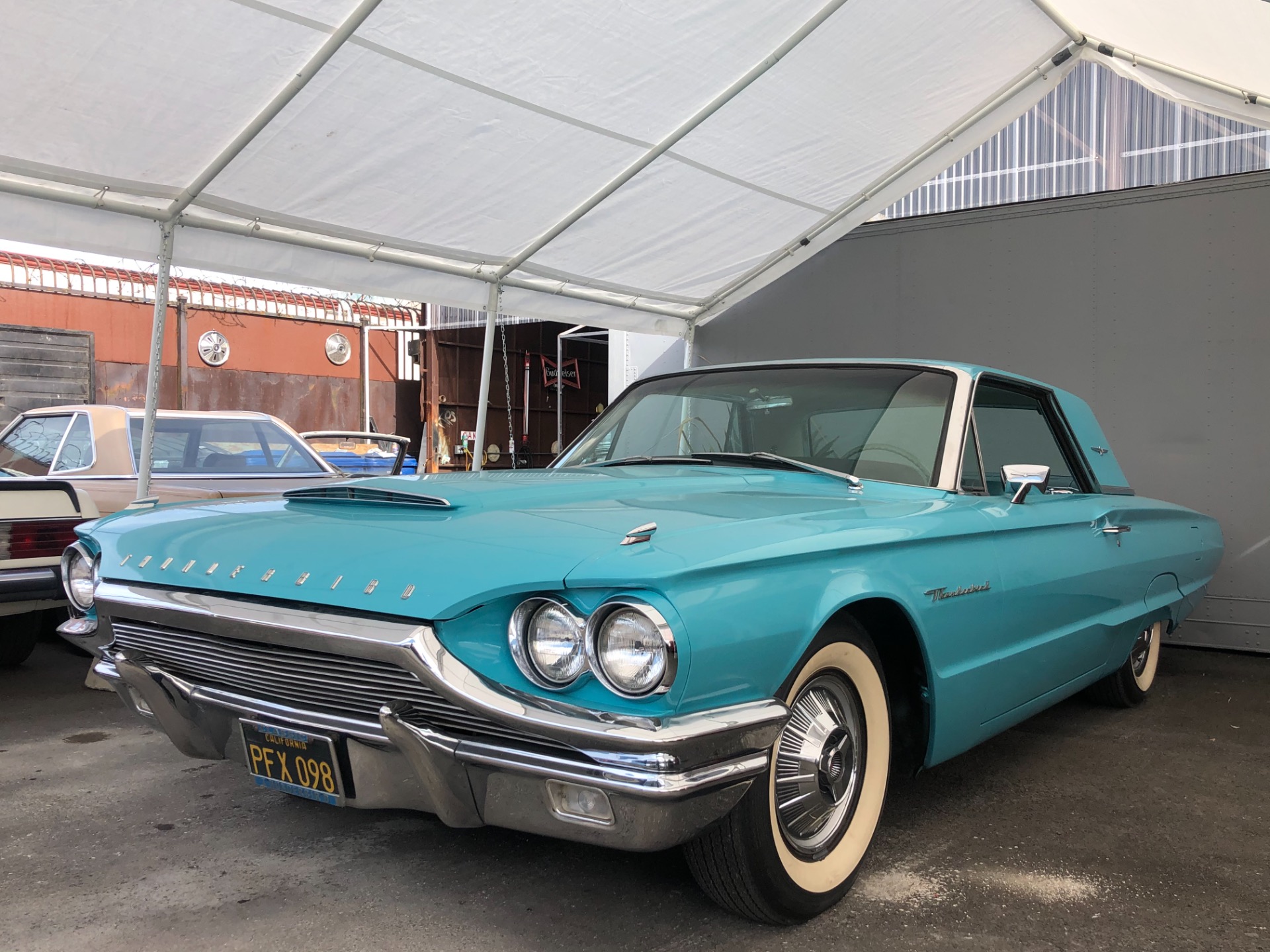 t bird t bird