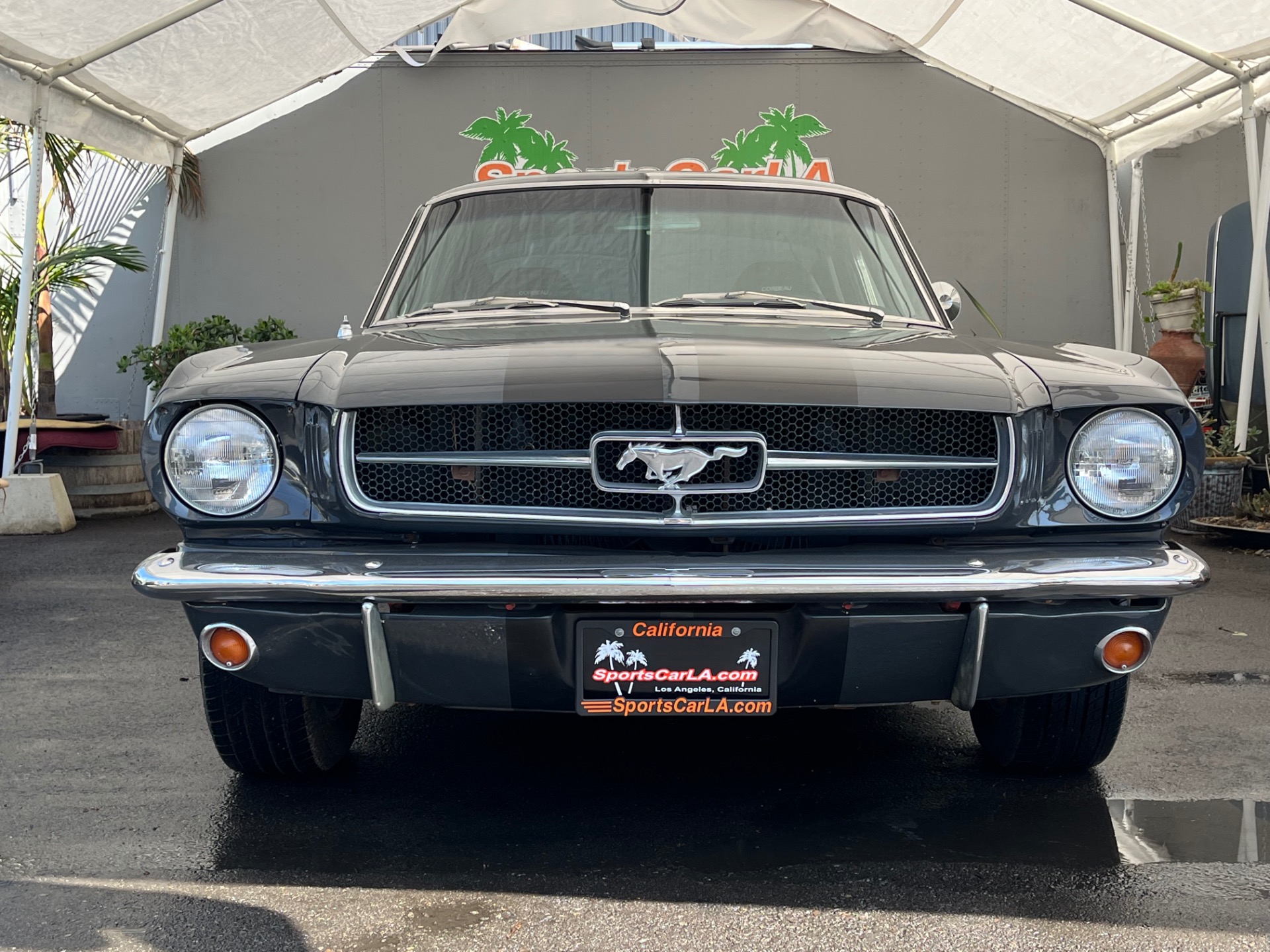 Used 1965 Ford Mustang FASTBACK