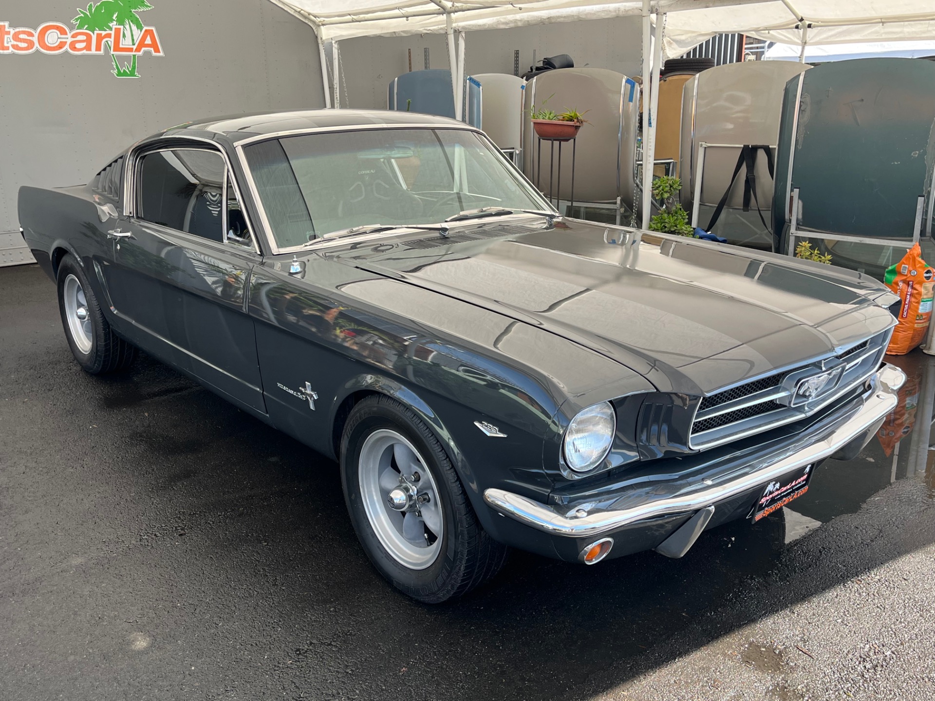 Used 1965 Ford Mustang FASTBACK