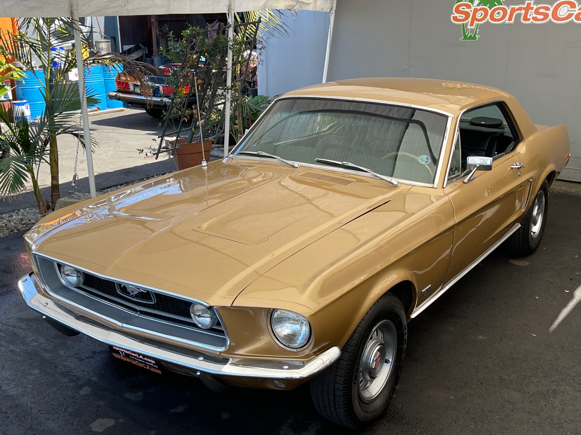 Used 1968 Ford Mustang GT GT