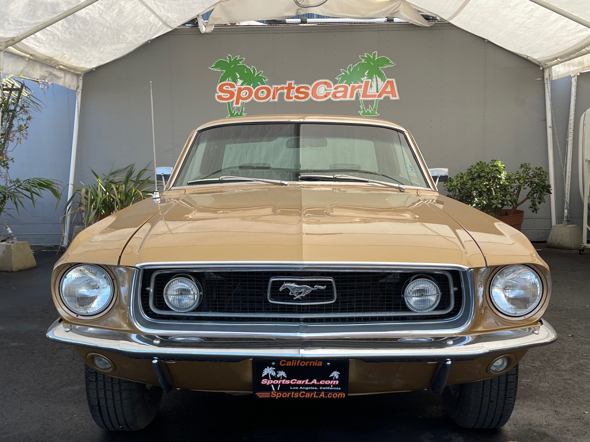 Used 1968 Ford Mustang GT