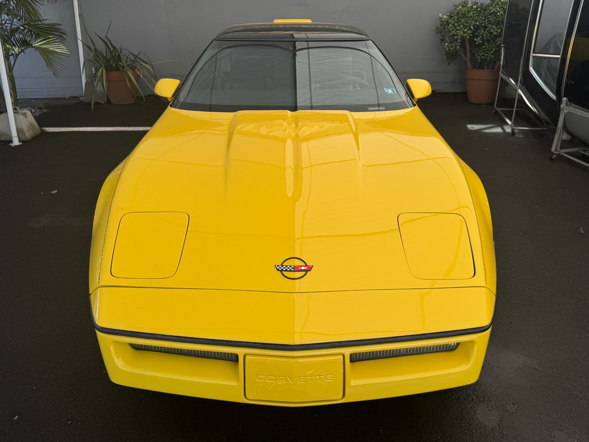 Used 1986 Chevrolet Corvette Corvette