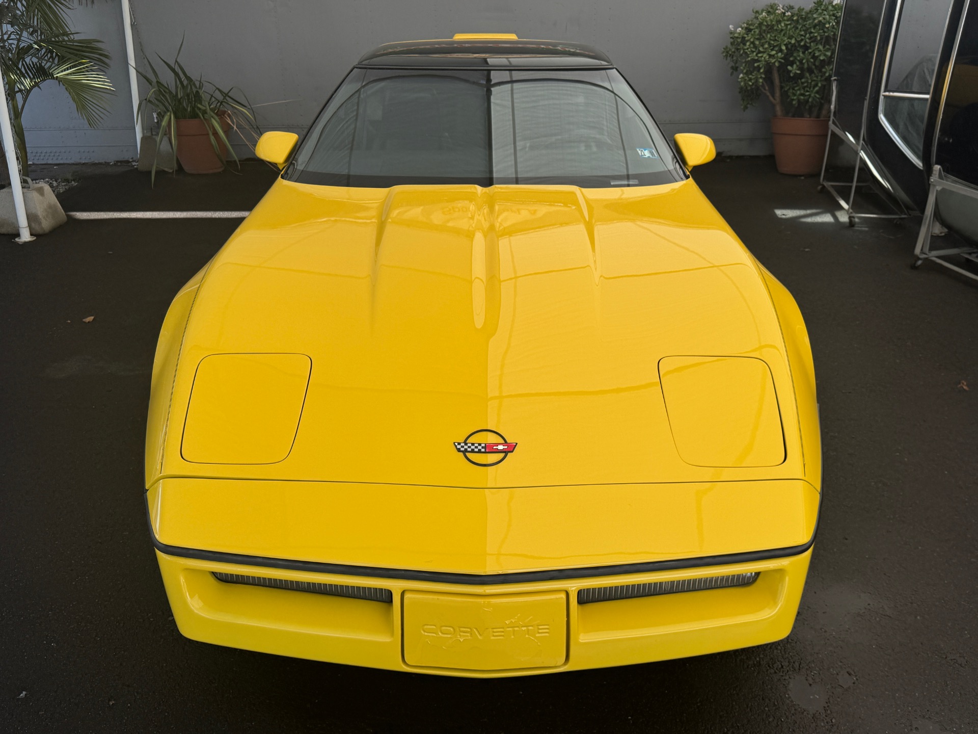 Used 1986 Chevrolet Corvette Corvette