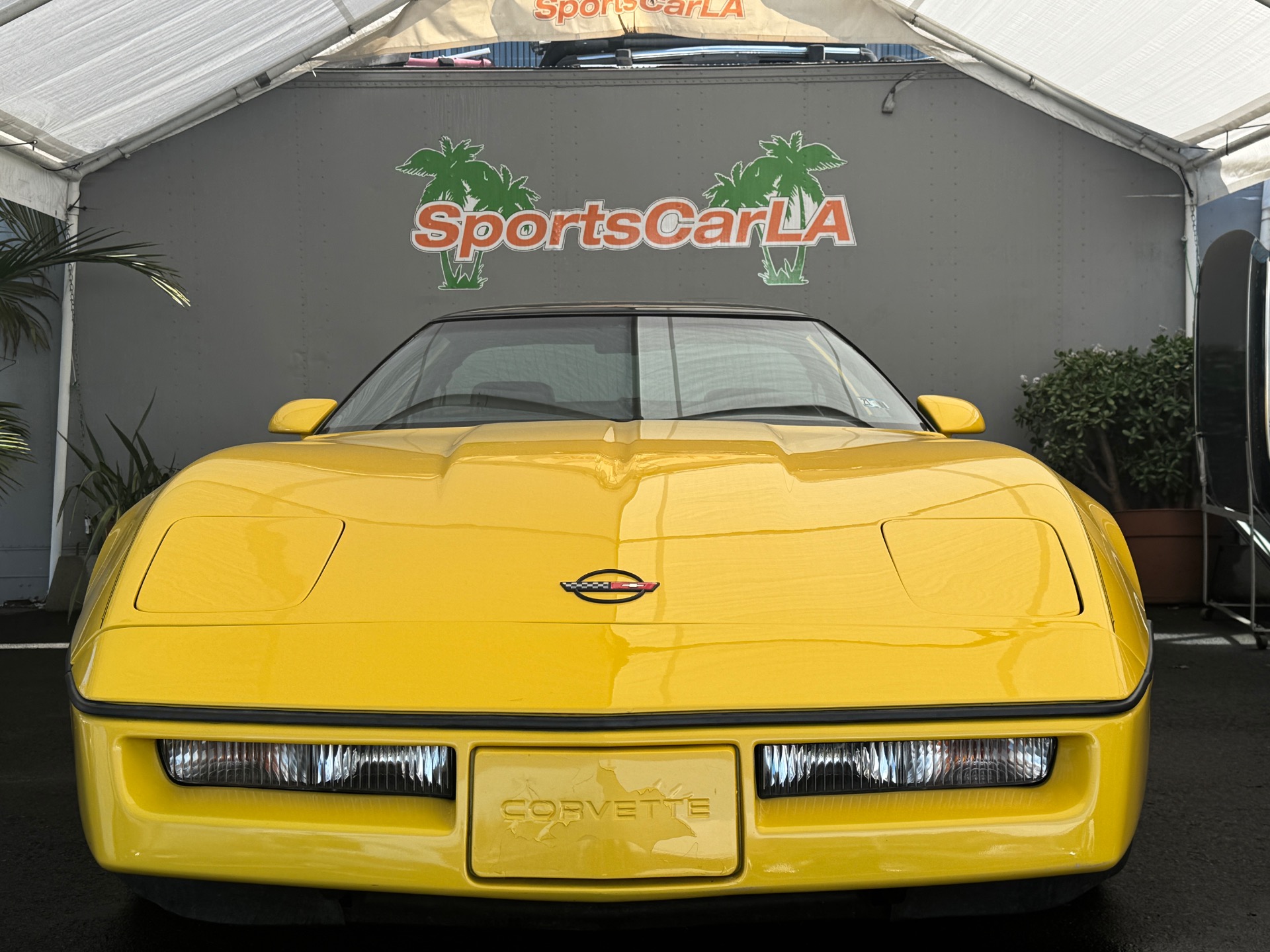 Used 1986 Chevrolet Corvette Corvette